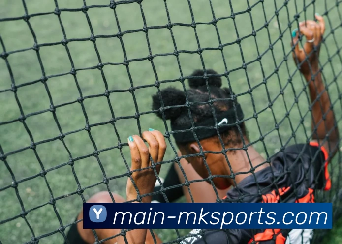 MK体育发展历程